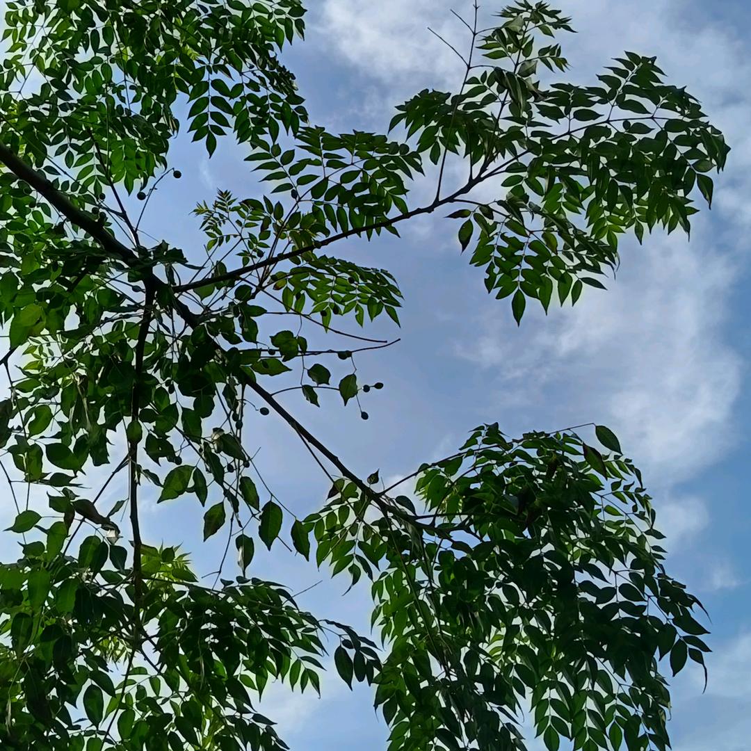 用户9706334059251