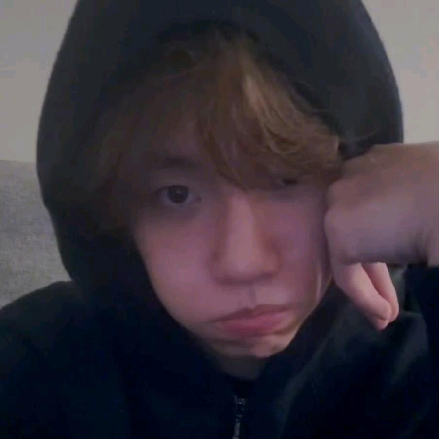 小狗一直想你🐯（见过边伯贤、鹿晗版）