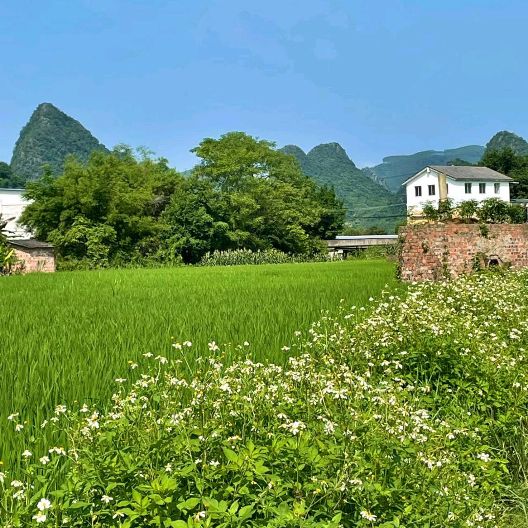 人生皆风景