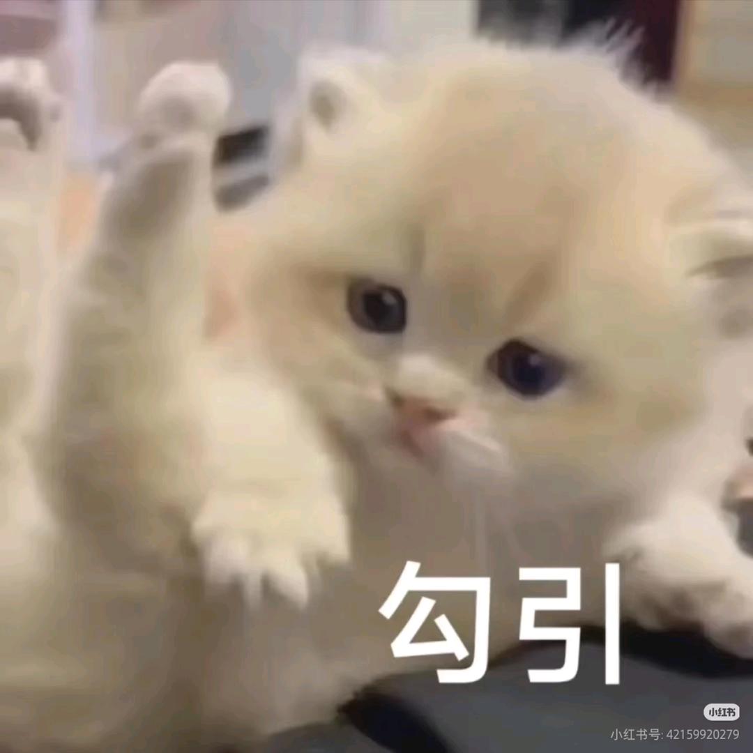 憨喜🍓