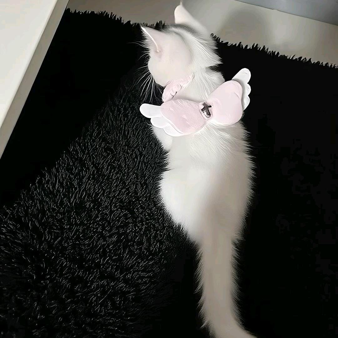 瑾№