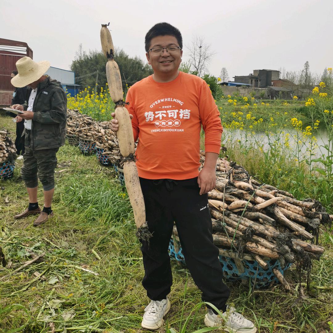 亮锅滴藕码头