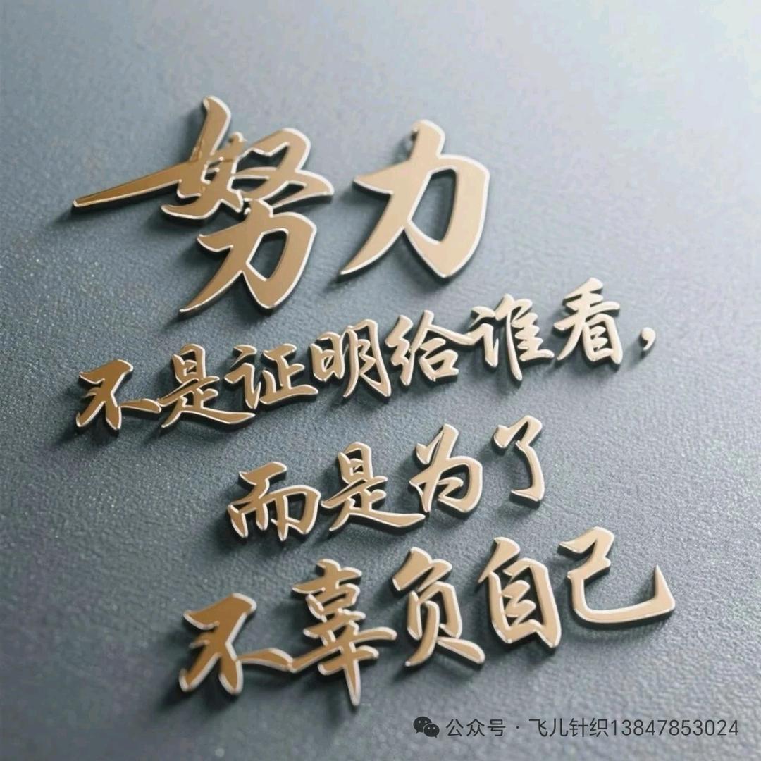 南方孤雁海上飞