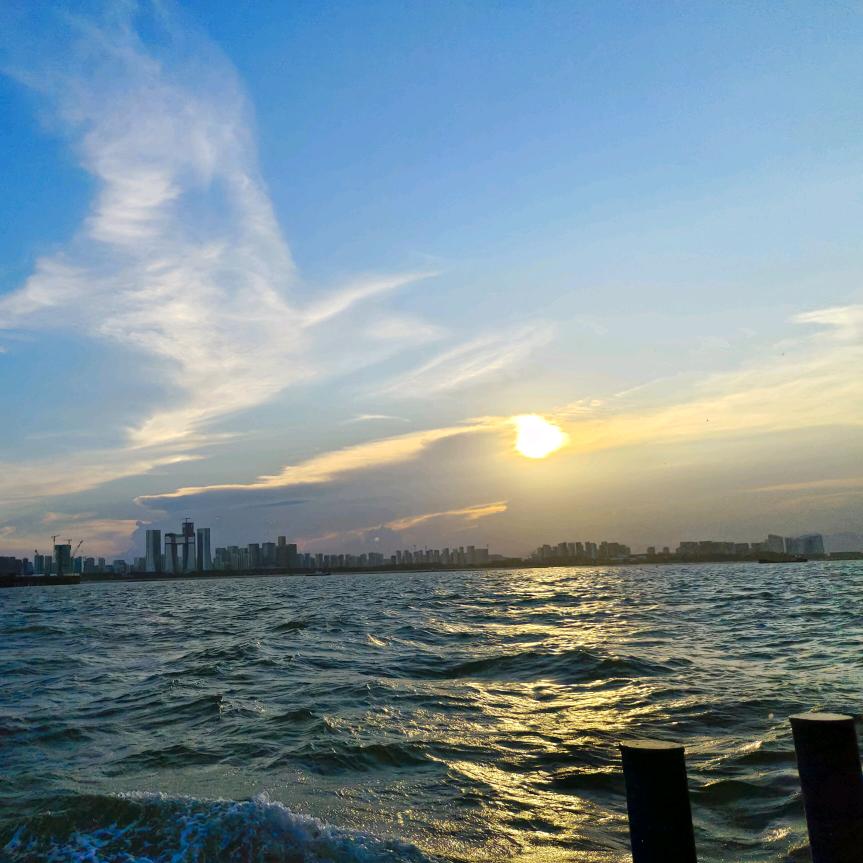 不可爱的萝卜犟