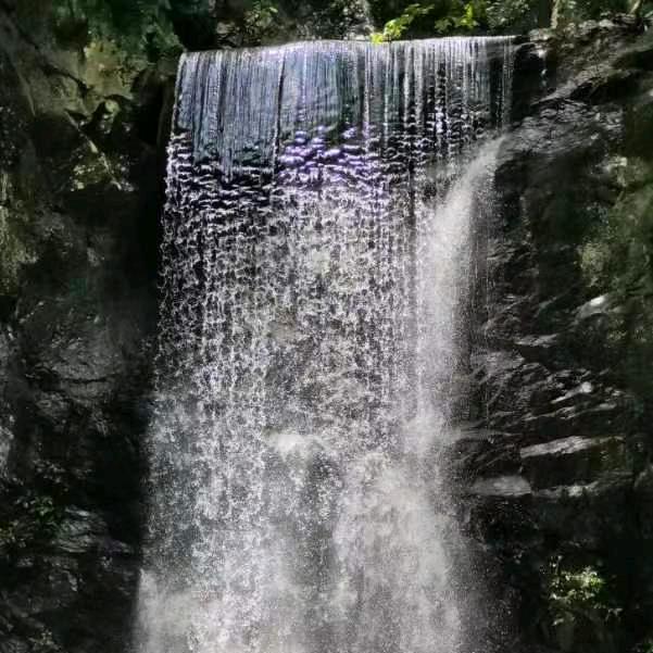 凤凰૮₍◜ෆ◝.₎ა涅槃