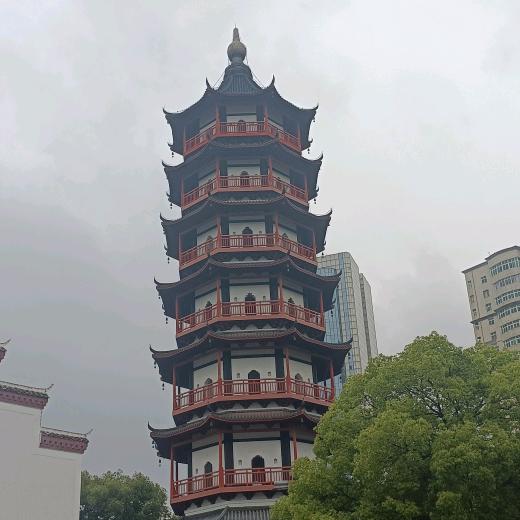 骑着蜗牛过马路