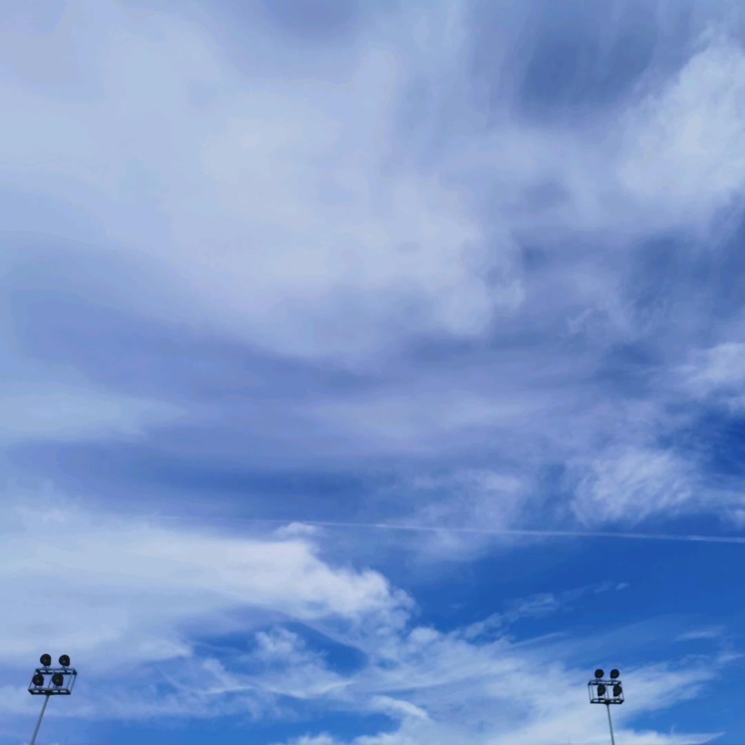 胡须尽欢