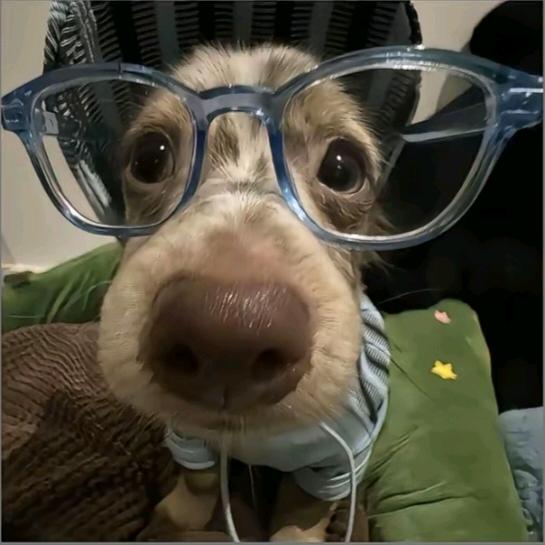 。'
