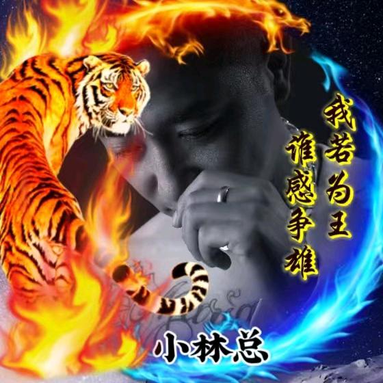 王者荣耀-小林总