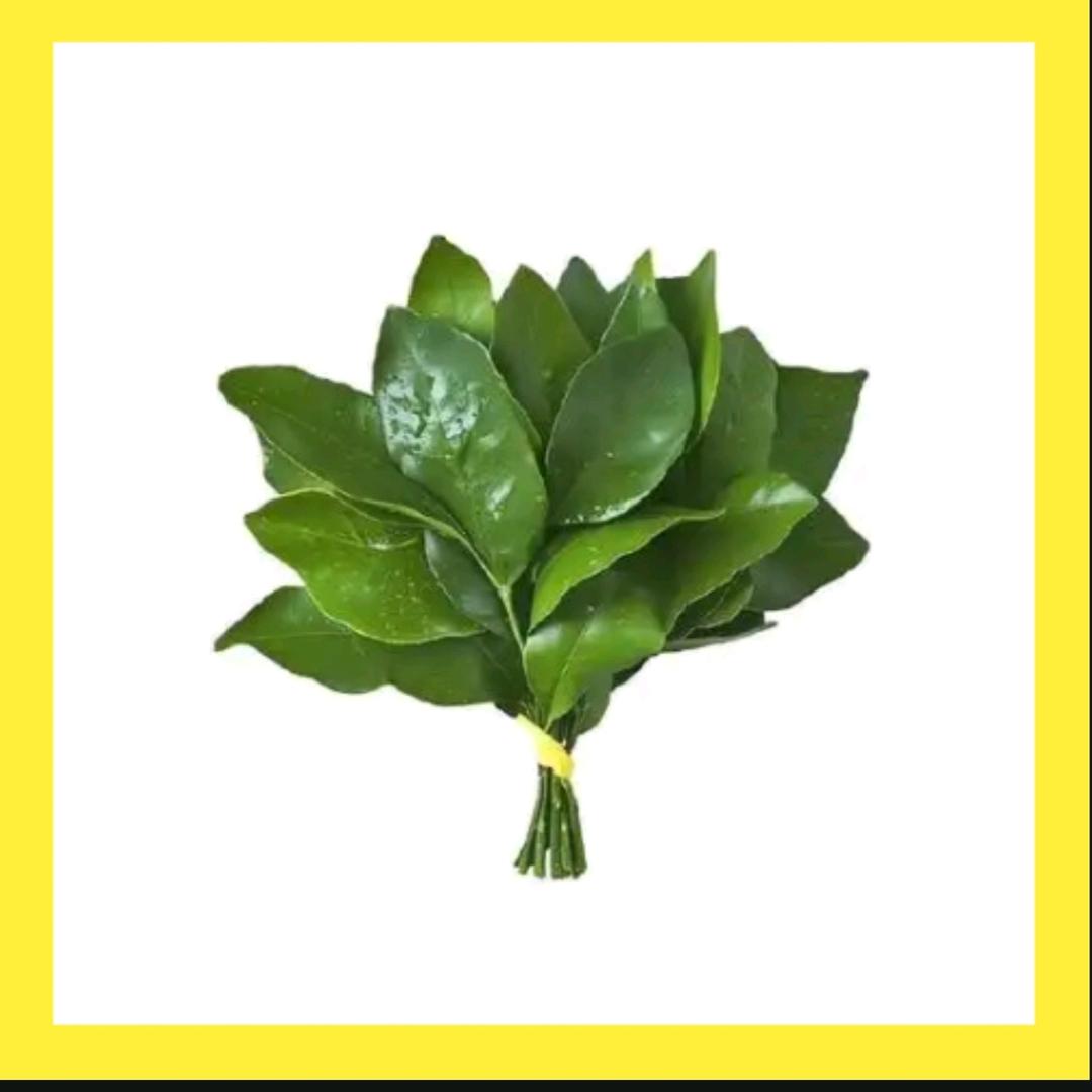 山栀