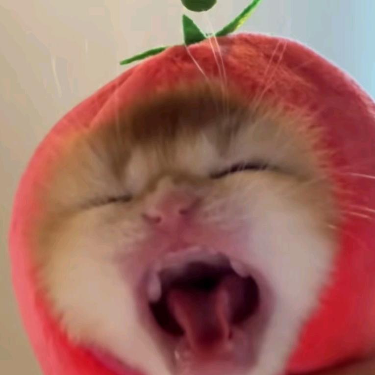 荔枝枝