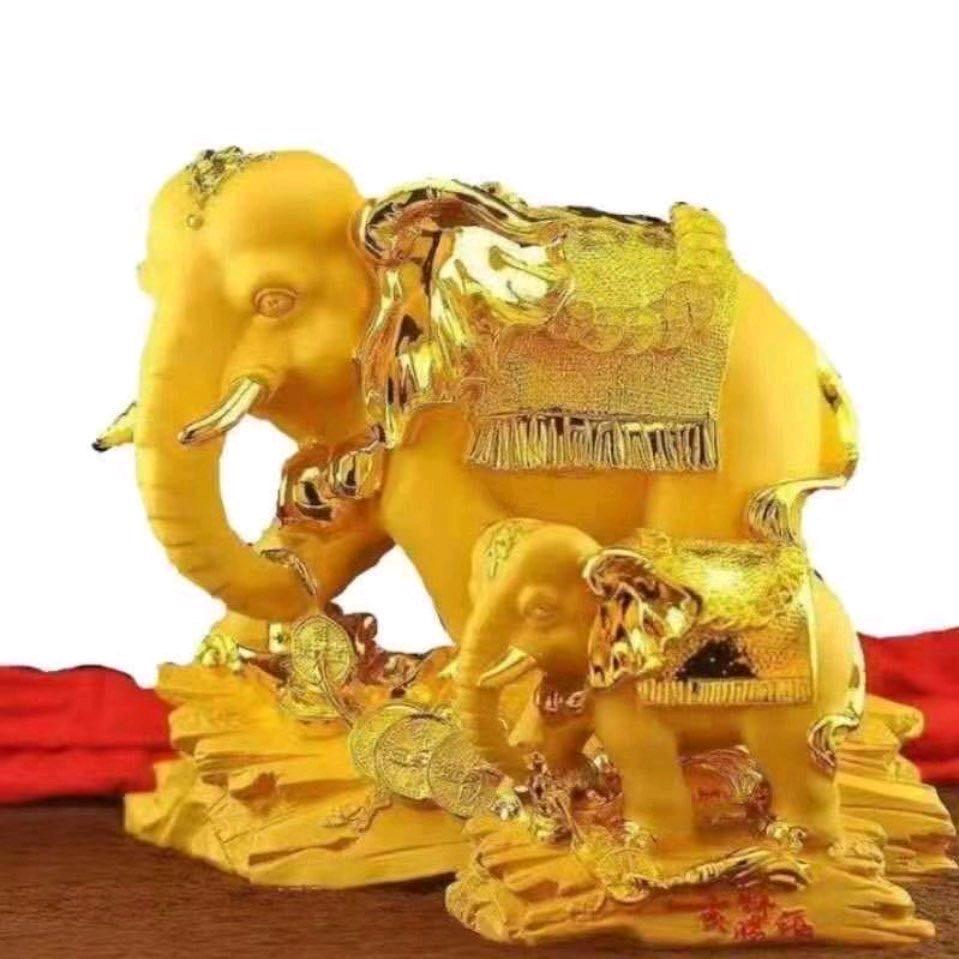 月竹