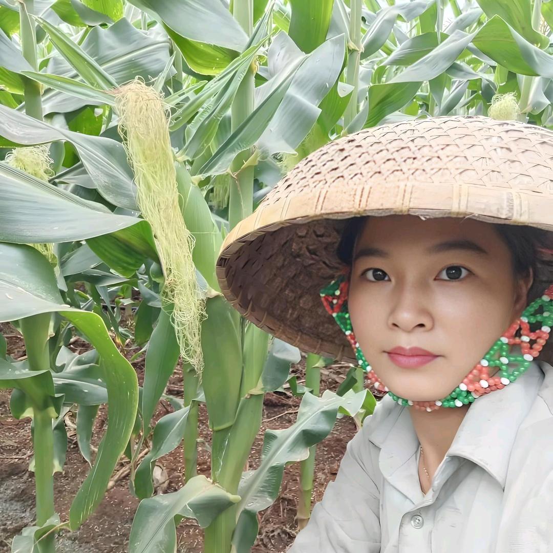 小许说农资(厂家直销)