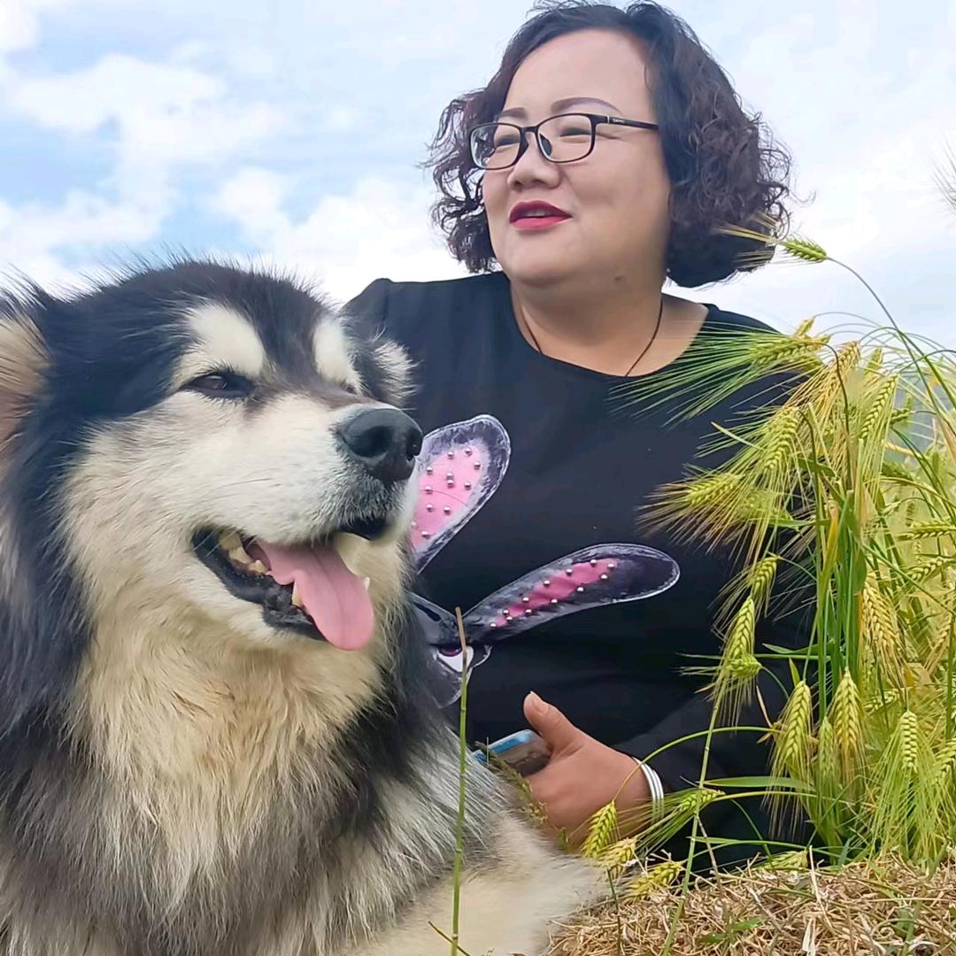 穿越时空的咸鱼