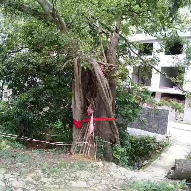 随便