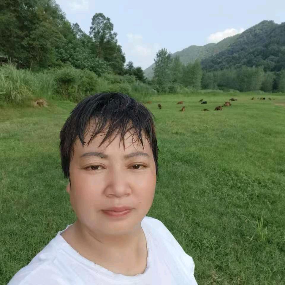 乡村陈姐（下午13:30）