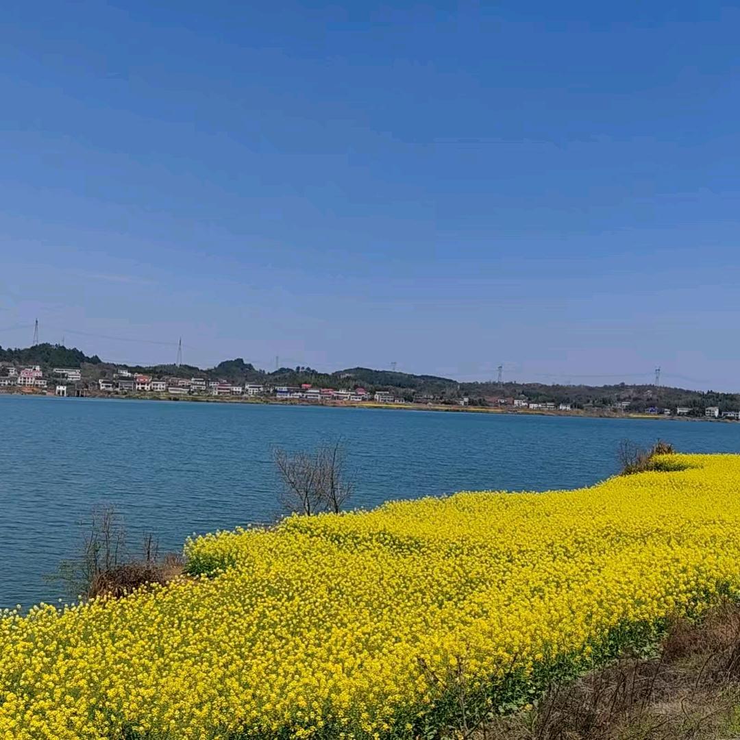 我只干饭不干活