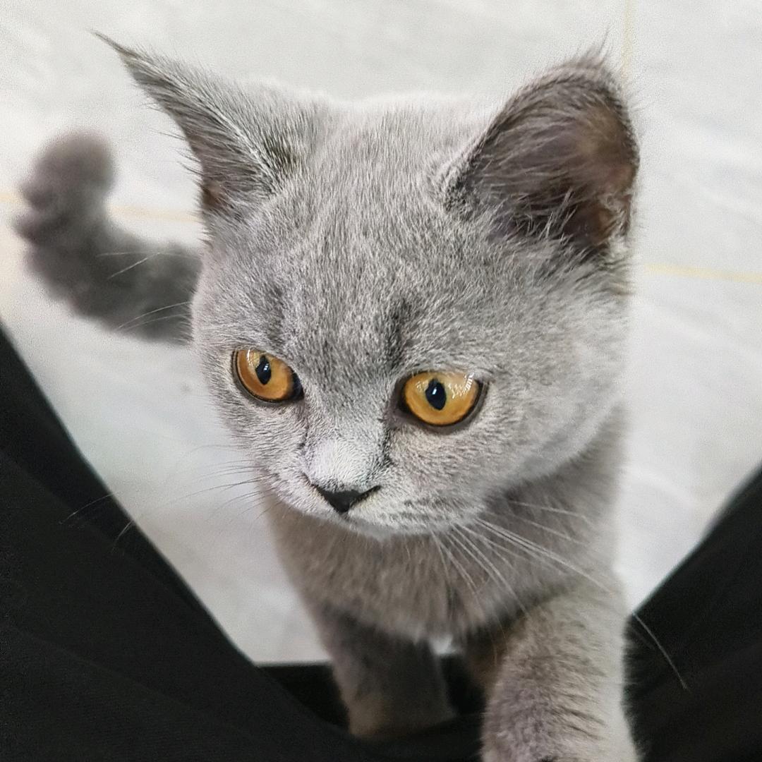 徐州市万达卫浴