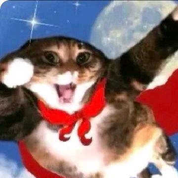 蛙趣是无敌小猫 🤟