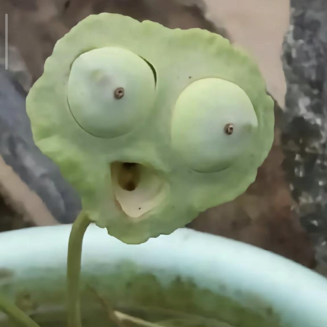 买一包小熊软糖
