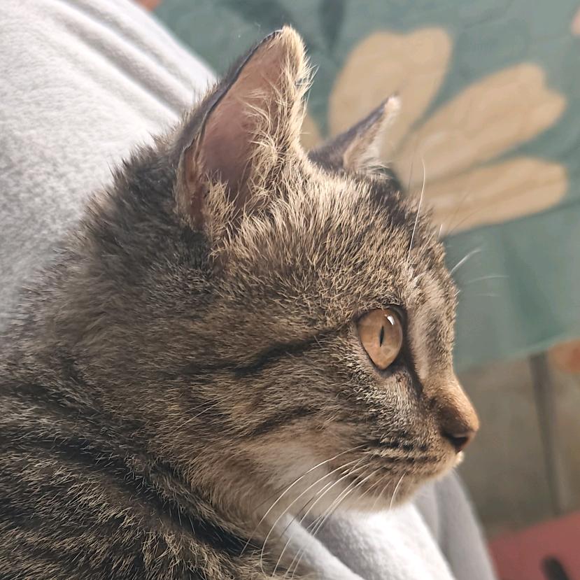 我叫丧彪你记住