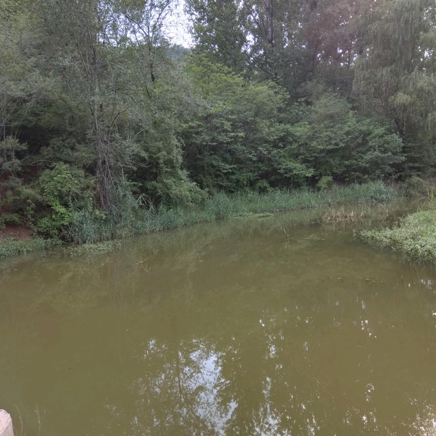 @快乐星期八～三十二号