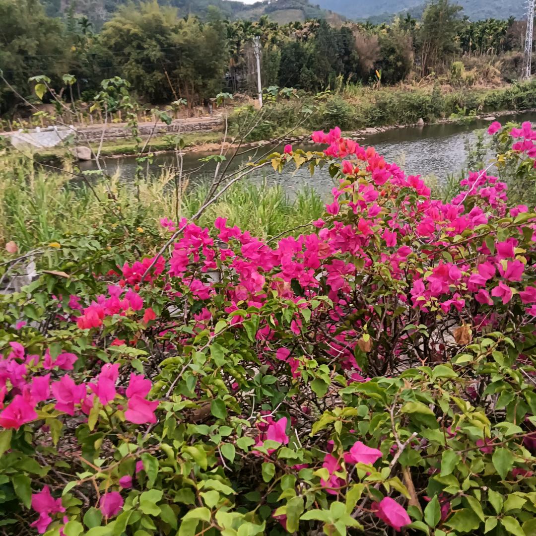 🥀এ᭄累了ꦿ谁💔疼ོ࿐ᩚ