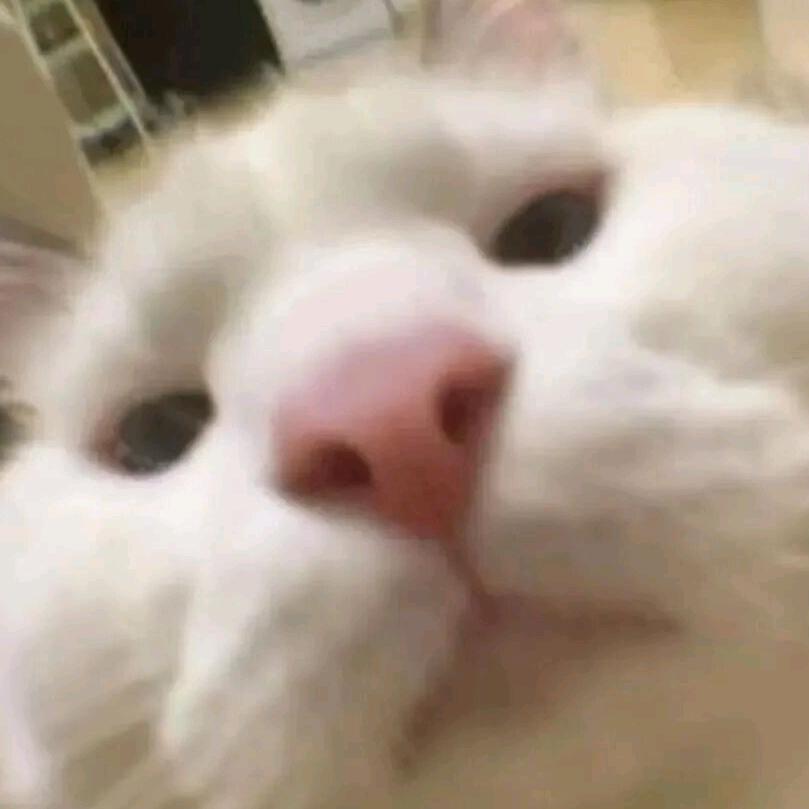 ☆︎.｡.:*･ﾟ☆︎.｡.:*･ﾟ☆︎