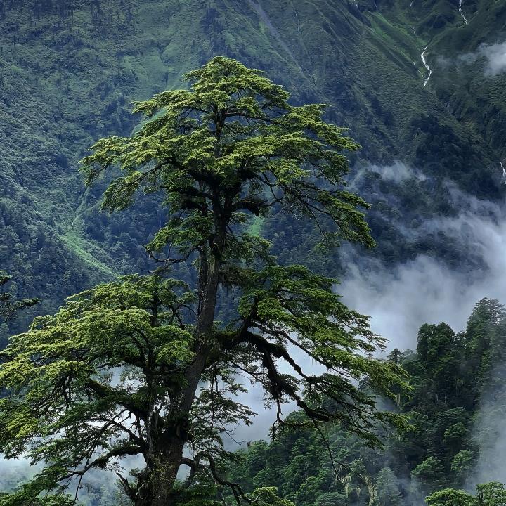 ಇ᭄江湖小人物࿐