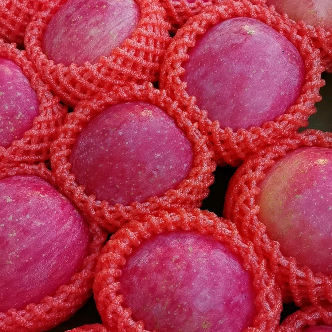 水果年华官方号