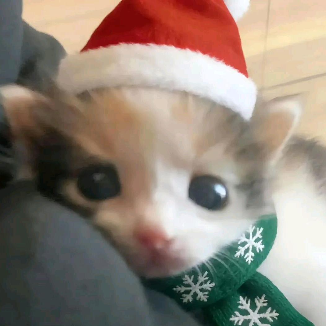鱼