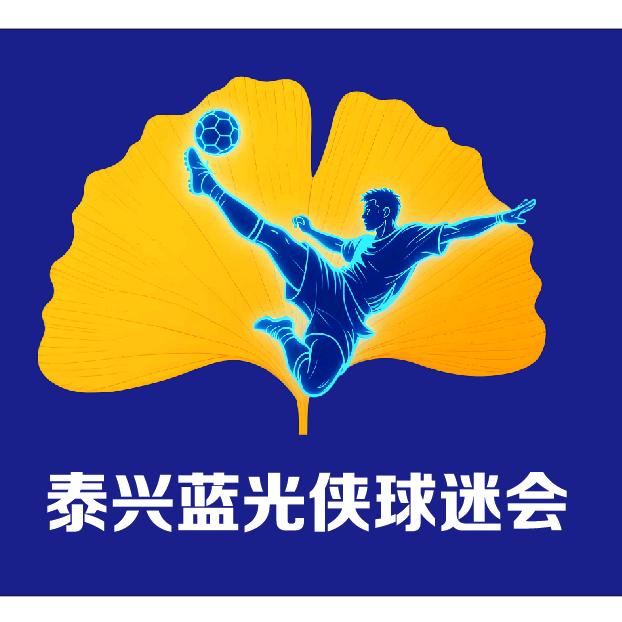 泰兴市蓝光侠球迷会–YOYO-响袋台球