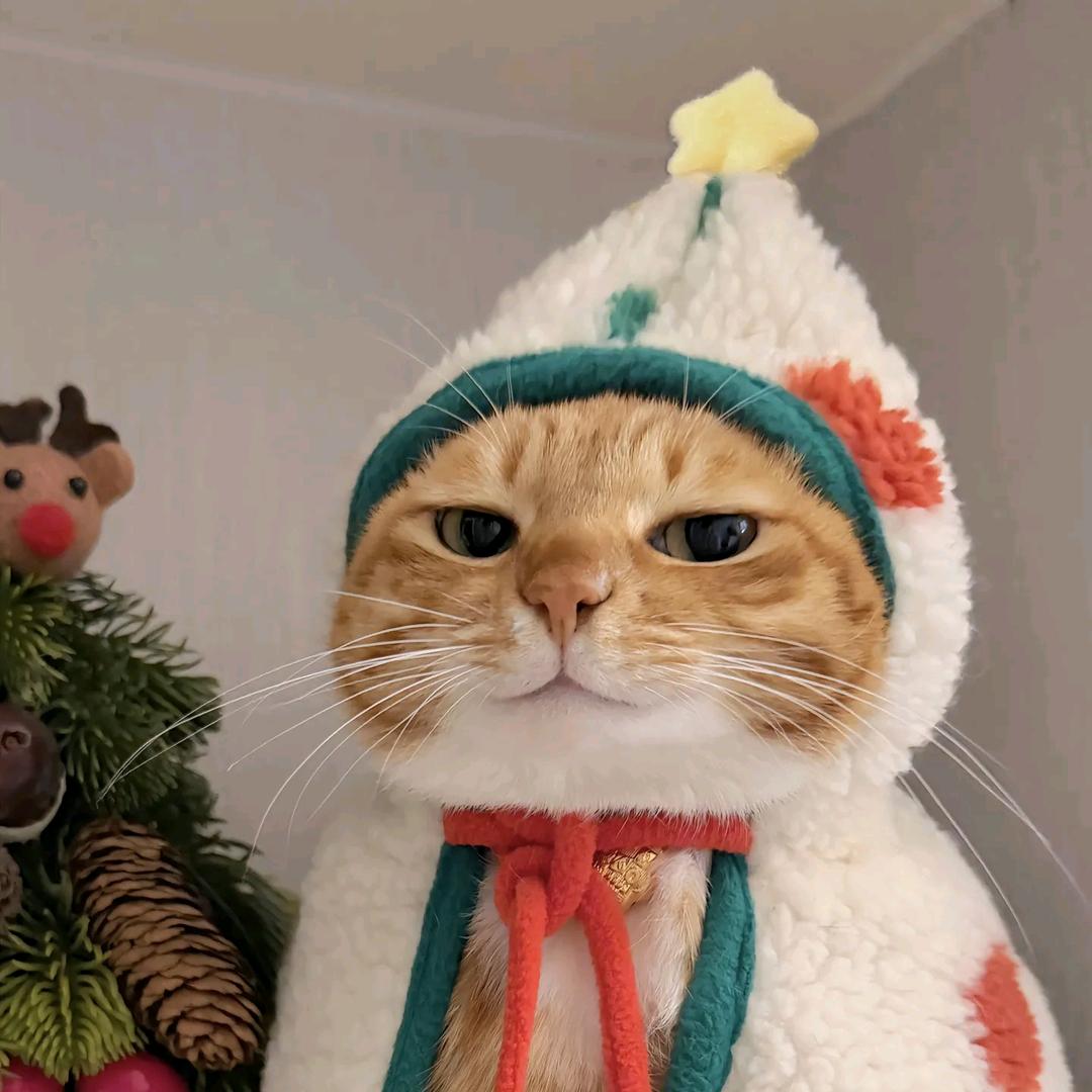 𝒜𝓌.复乐园♡⛄