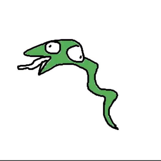 买完寄居蟹了（梓菡）