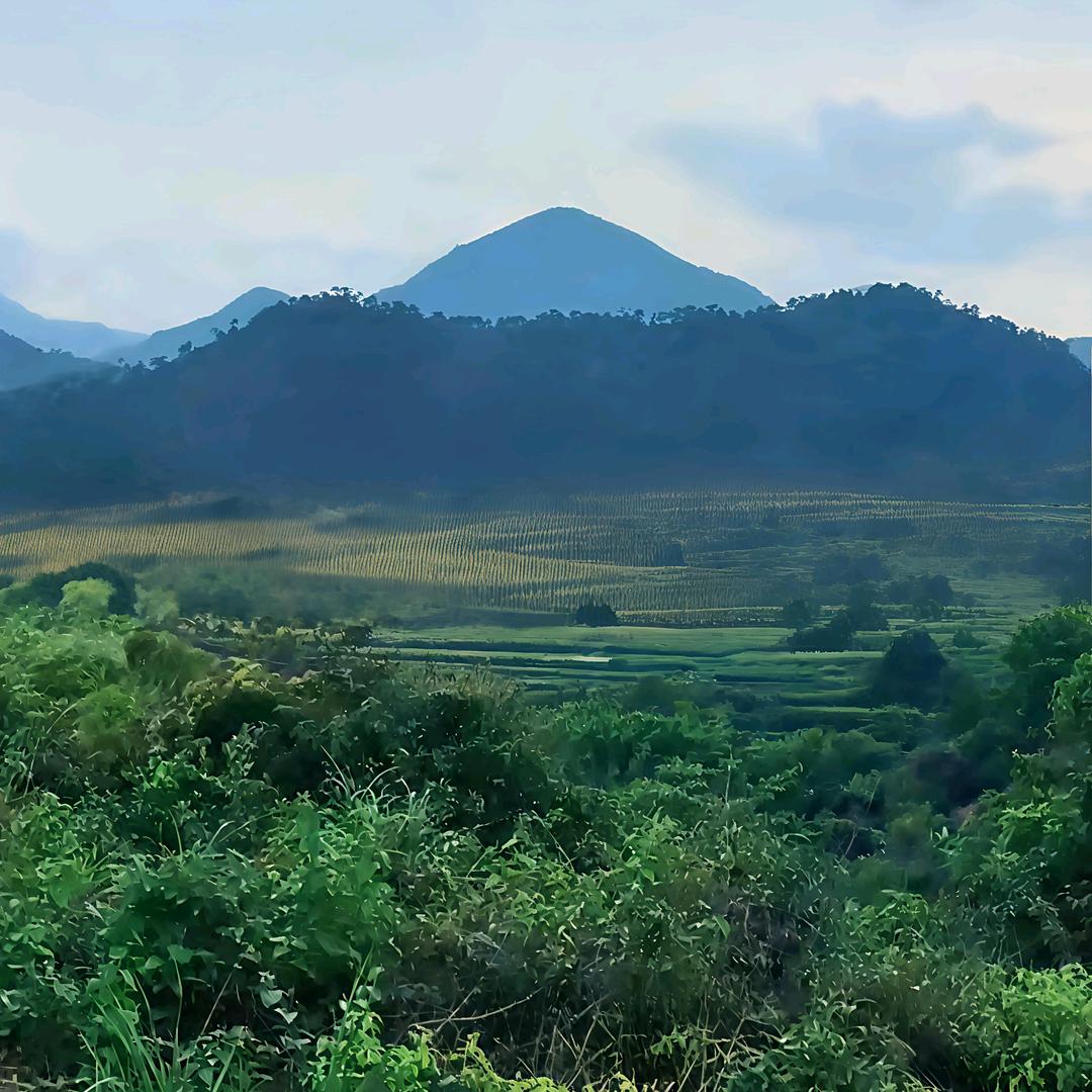 龙行千里