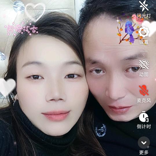 不老松