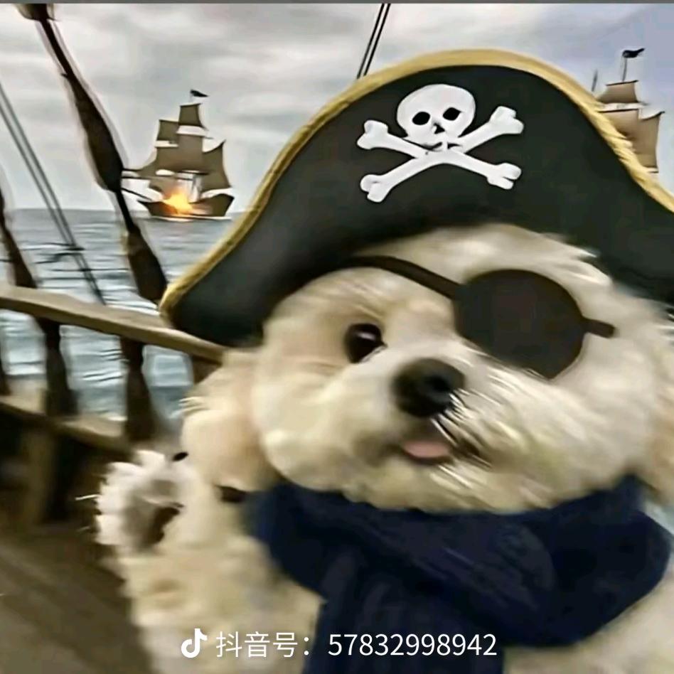 叽里咕噜说啥呢？🌚V我500