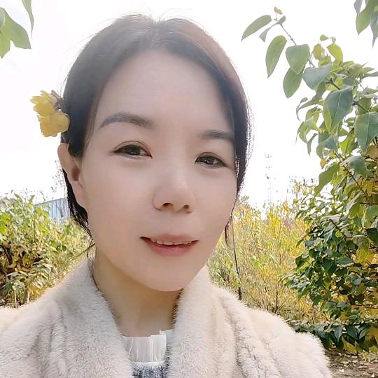 暗香腊梅园