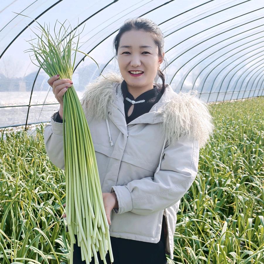 苍山蒜主（小邵）