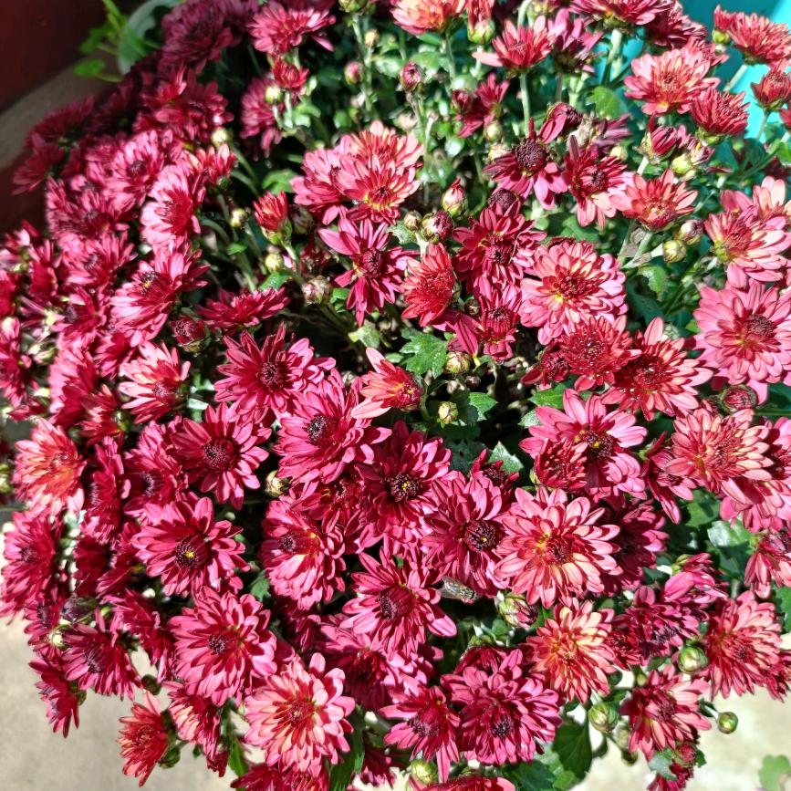 牢记使命💪🏻