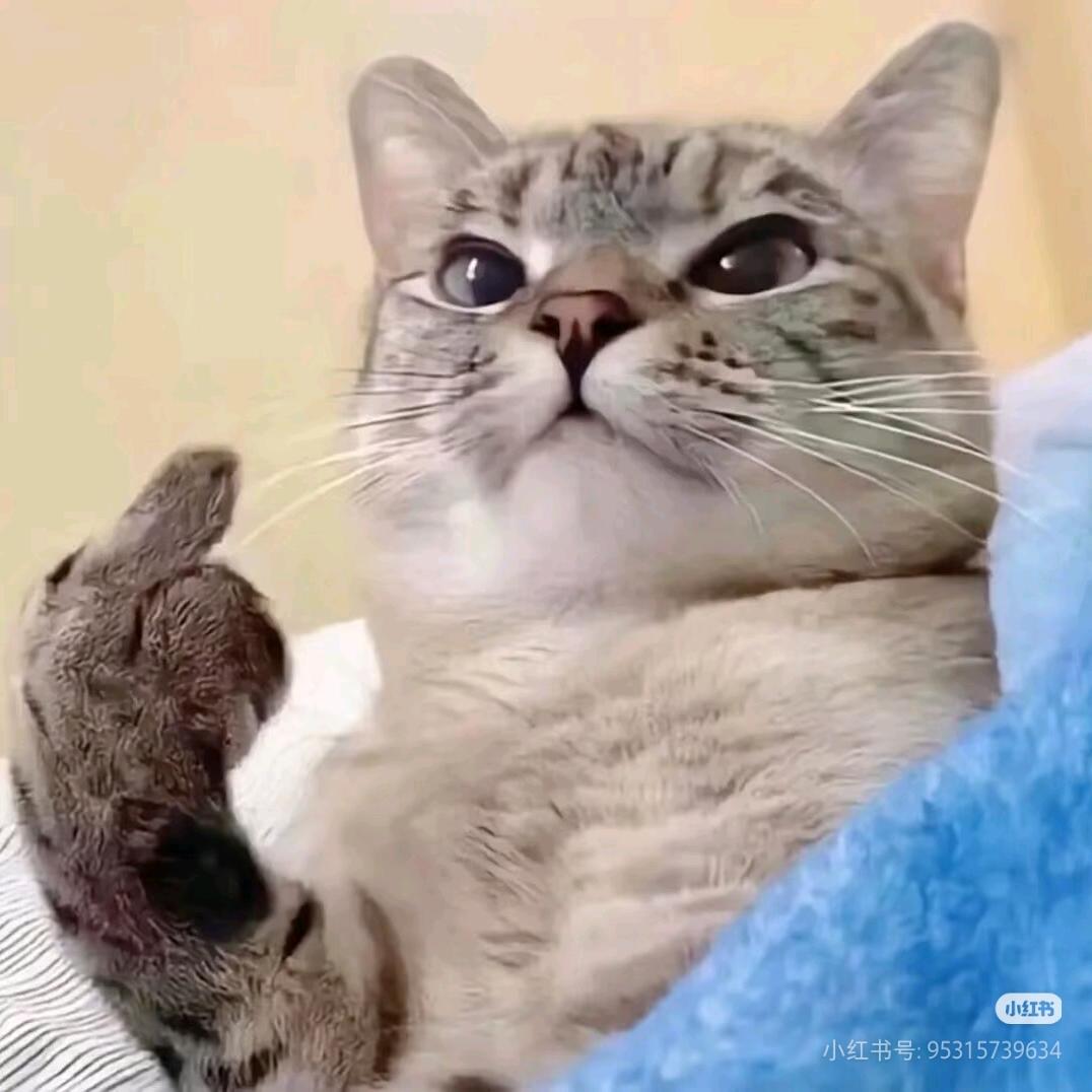 ᴸᵒᵛᵉ里的胆小鬼