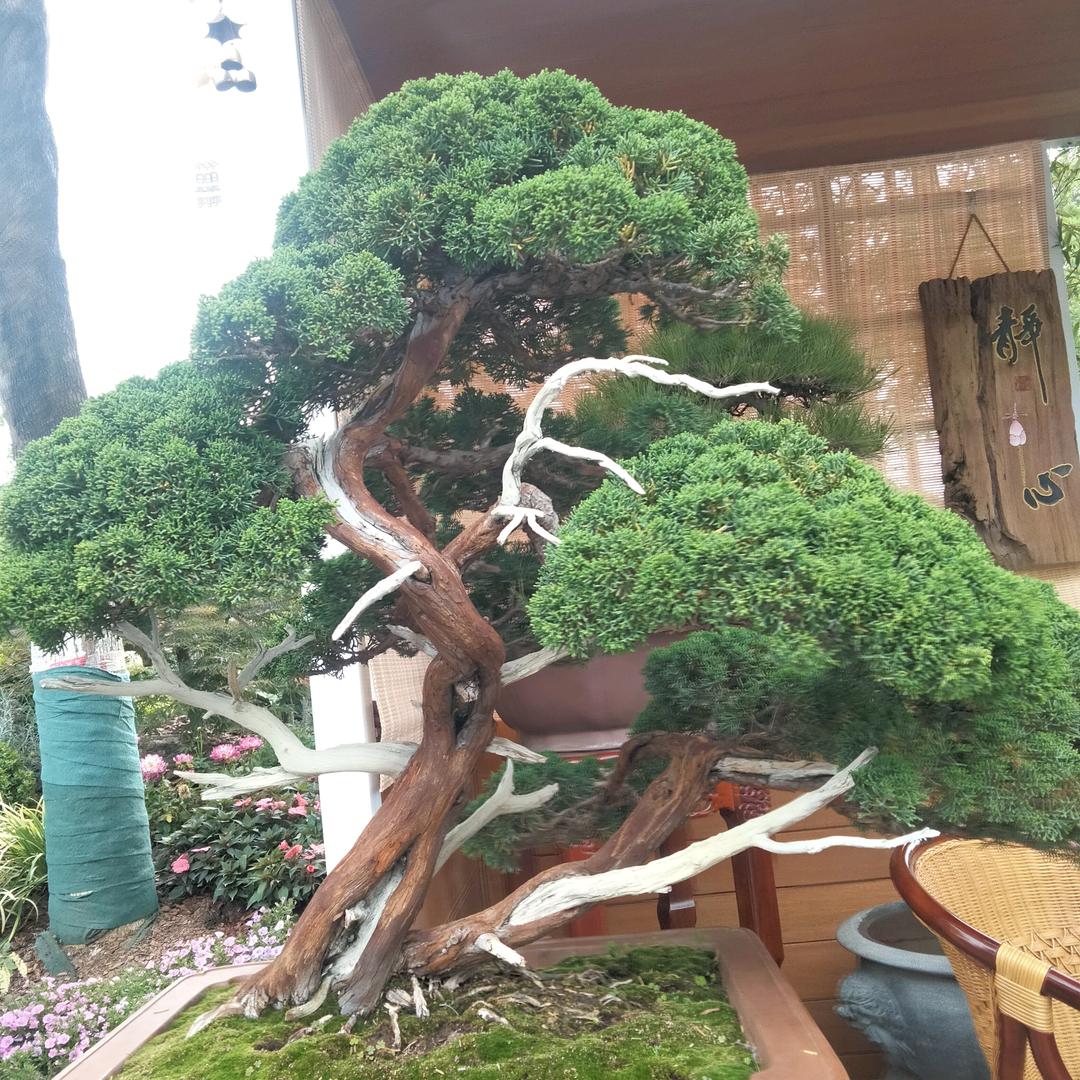 中百仓储马鹦路店～看到你就开心