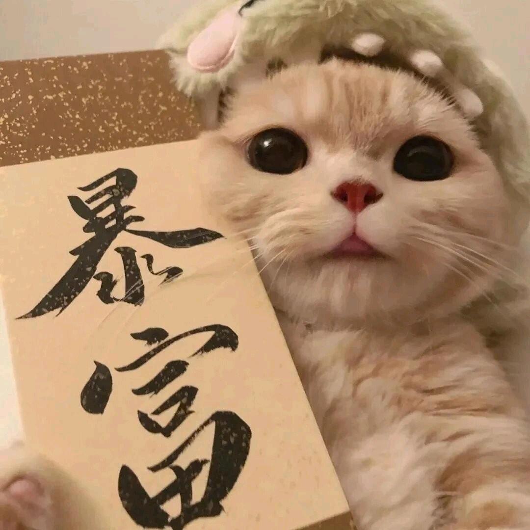 超级无敌帅气的大地瓜