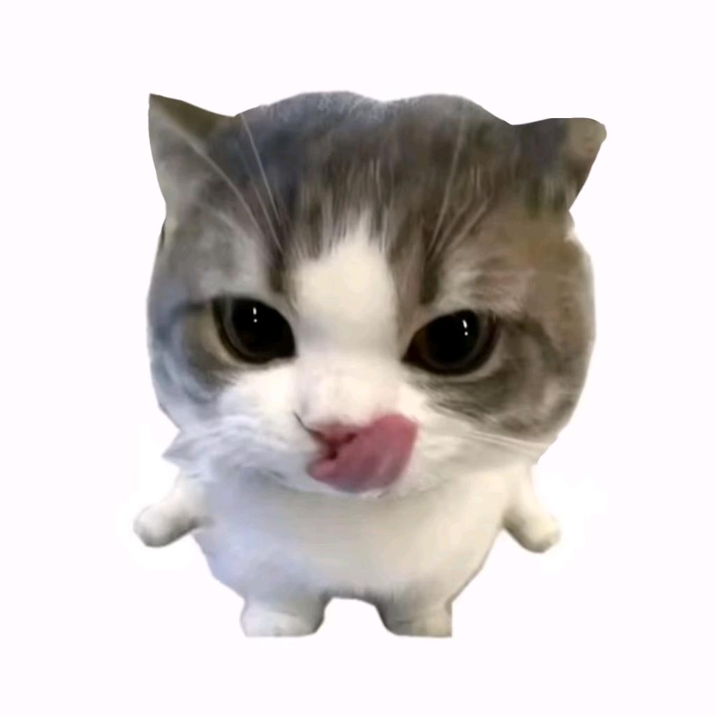 景与淮