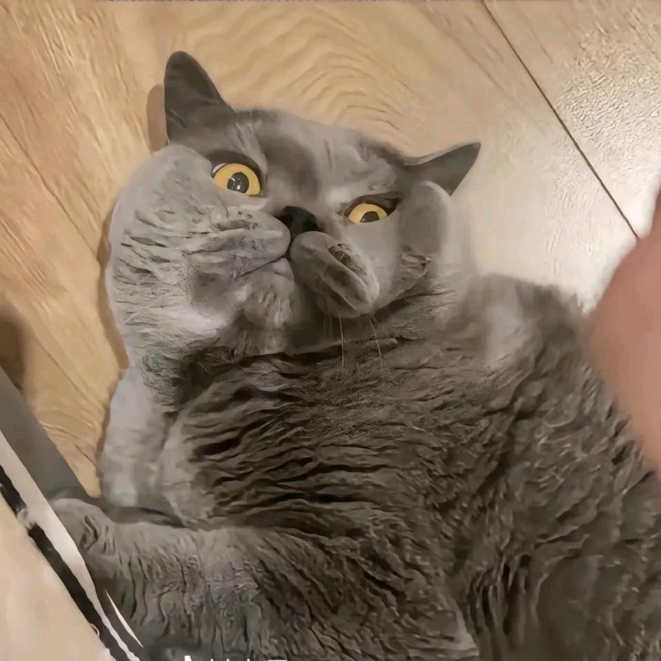 阿轩起不快🏍️