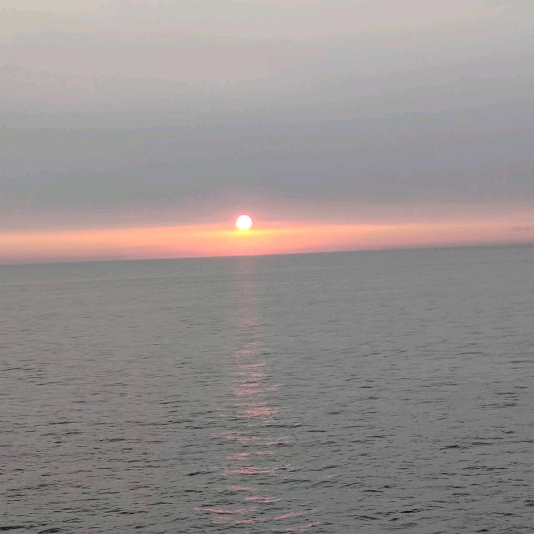 文文尔雅👑瑞不可挡