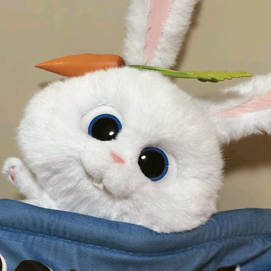 popo🥚