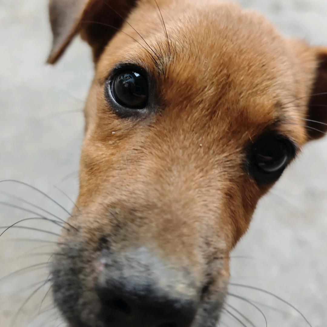 🌈⭐白驹⭐🌈