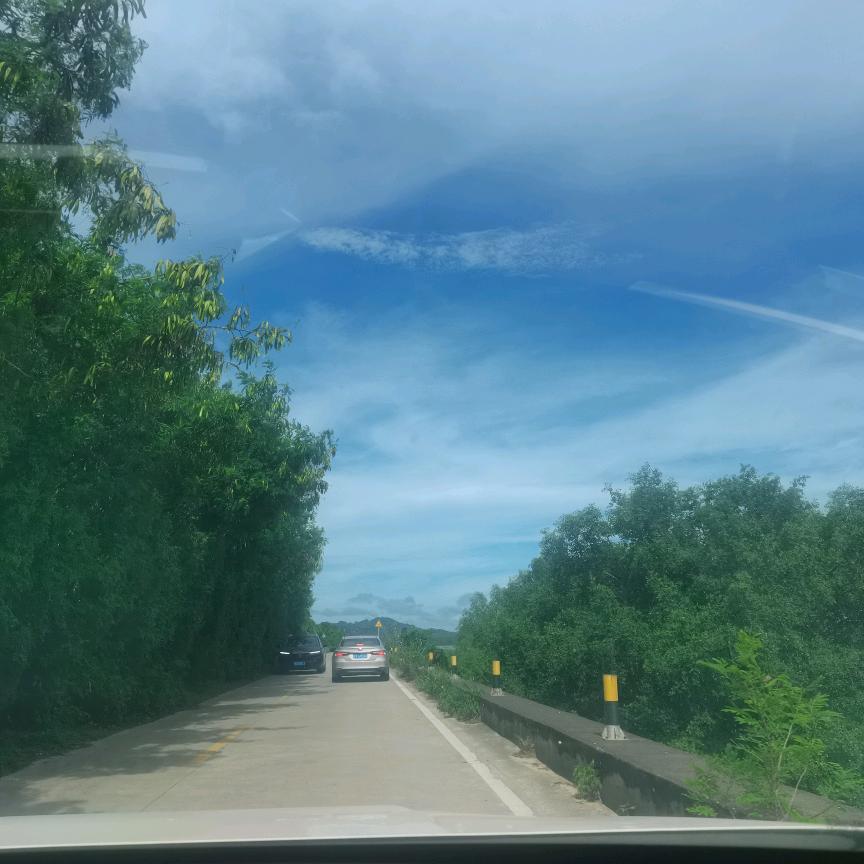 吃不胖的游四姐