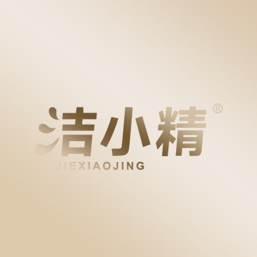 洁小精家庭环境清洁